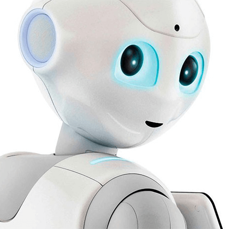 Nestor le robot